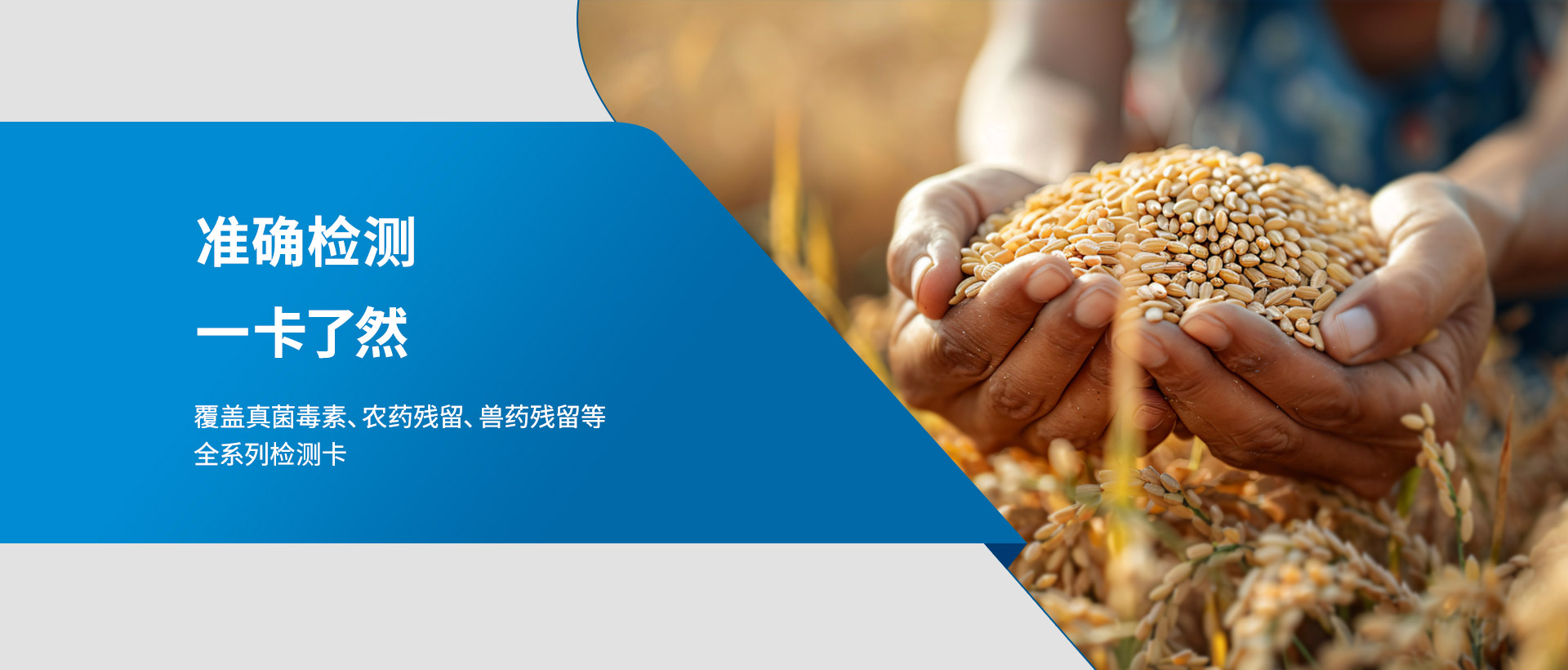 快速檢測卡生產(chǎn)廠家